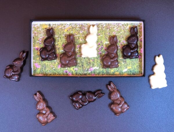 Lapins de Pâques en chocolat