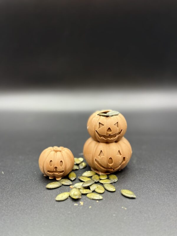 Citrouilles – Image 3